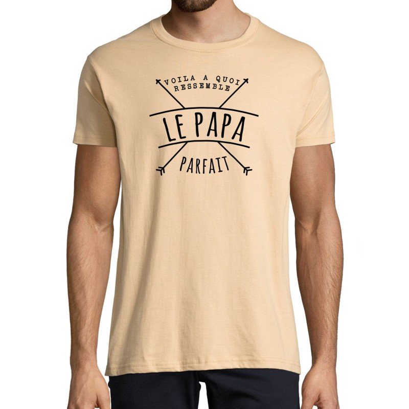 T-SHIRT humoristique Voilà à ressemble le papa parfait